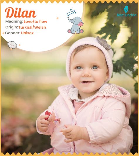 was bedeutet der name dilan|The meaning and history of the name Dilan